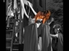 Processione-2012-8