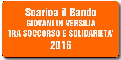 Banner Bando SCN attività soccorso Misericordia Pietrasanta 2016